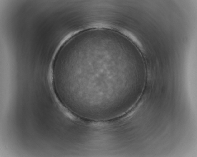 X0000113051040200909031328