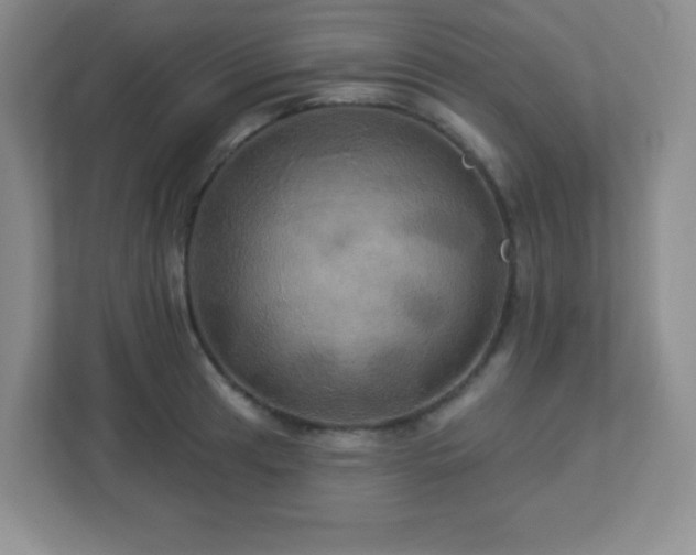 X0000113051041200909031328