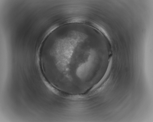 X0000113051042200909031328