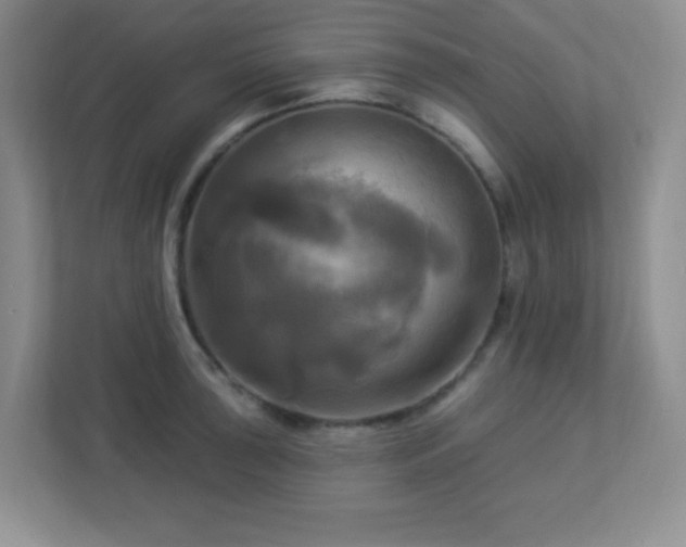 X0000113051043200909031328