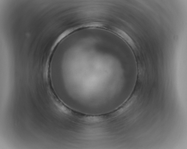 X0000113051044200909031328