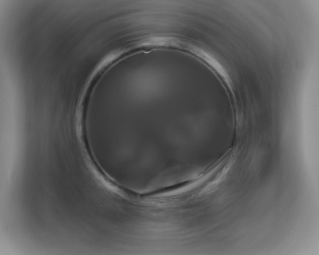 X0000113051045200909031328