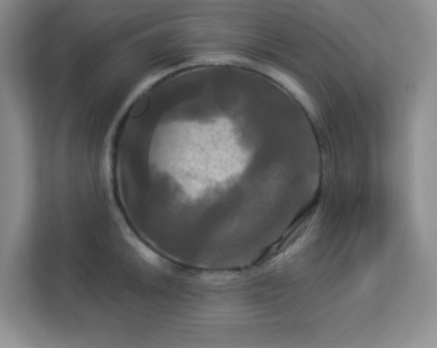 X0000113051046200909031328