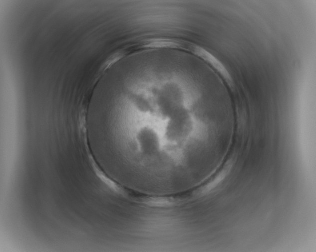 X0000113051049200909031328