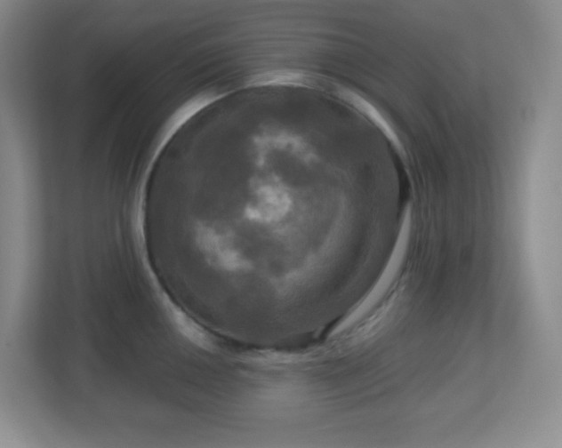 X0000113051050200909031328