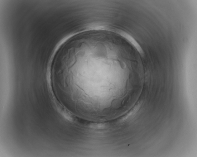 X0000113051051200909031328