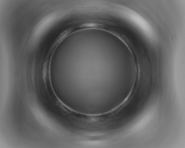 X0000113051052200909031328