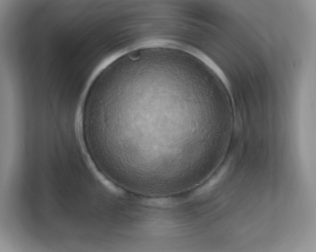 X0000113051053200909031328