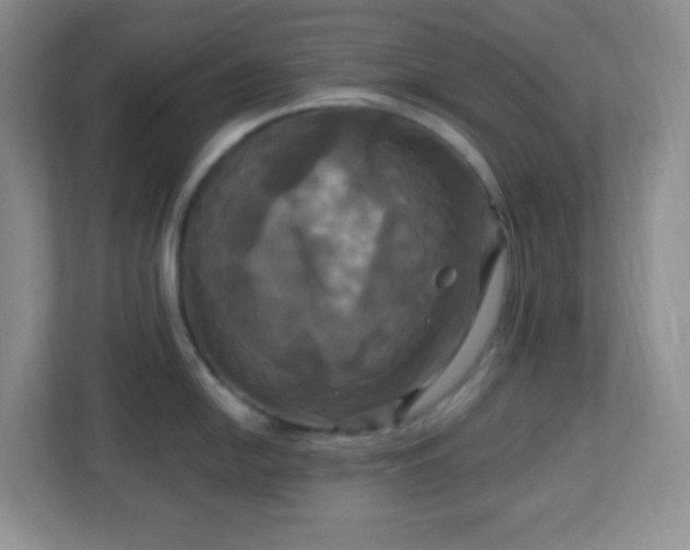 X0000113051054200909031328