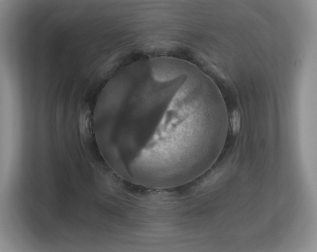 X0000113051059200909031327