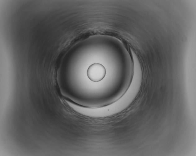 X0000113051060200909031327