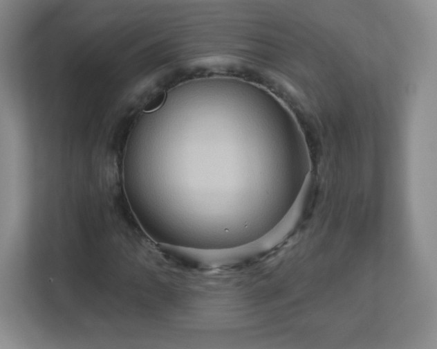 X0000113051062200909031327