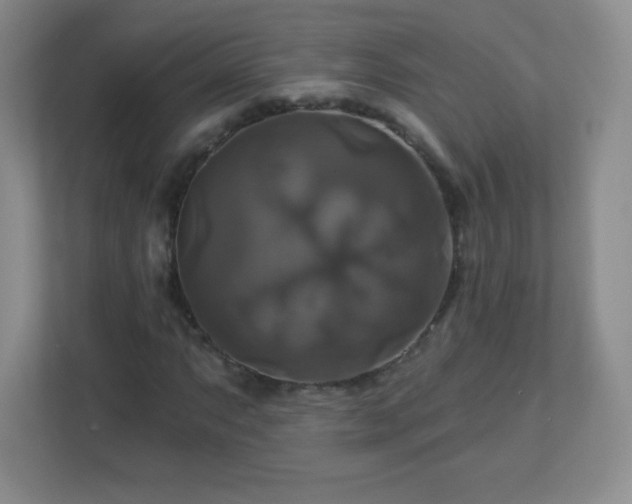 X0000113051063200909031327