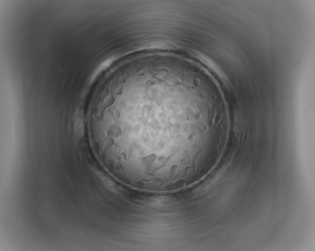 X0000113051067200909031327