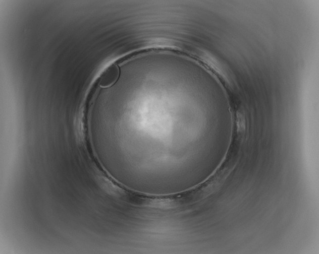 X0000113051068200909031327