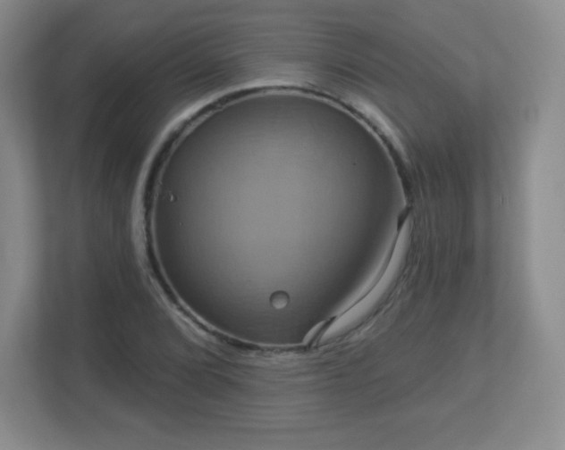 X0000113051072200909031327