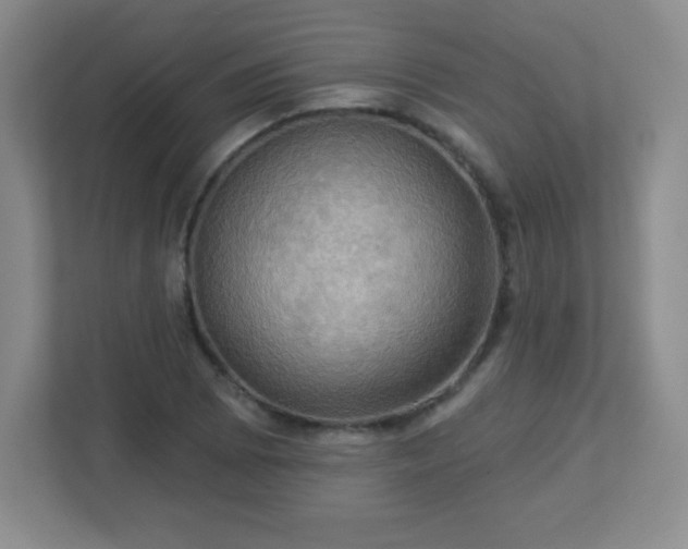 X0000113051073200909031327