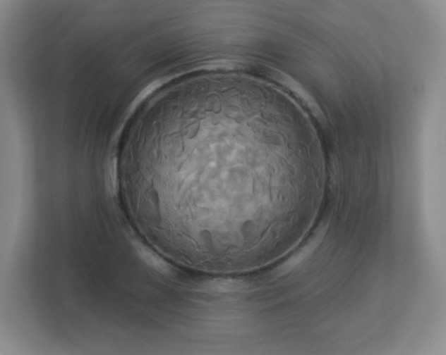 X0000113051075200909031327