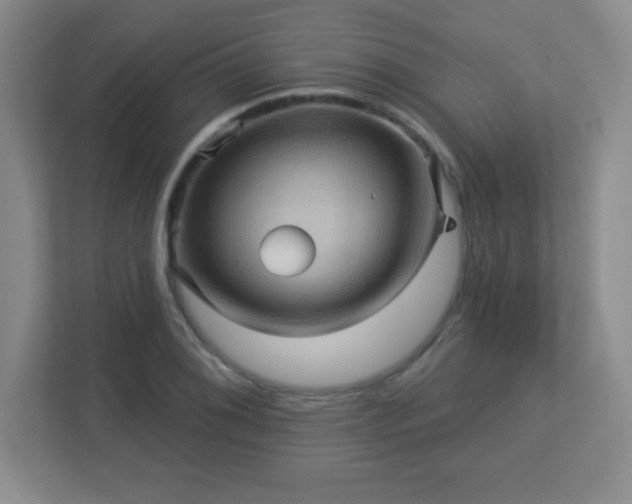 X0000113051076200909031327