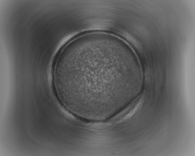 X0000113051077200909031327