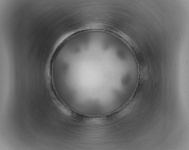 X0000113051078200909031327