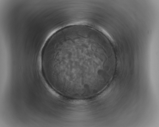 X0000113051079200909031327