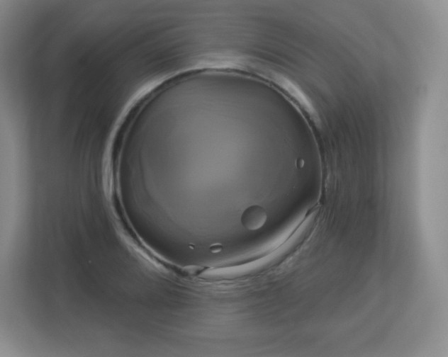 X0000113051080200909031327