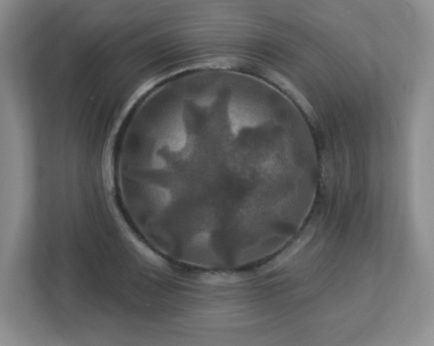 X0000113051083200909031327