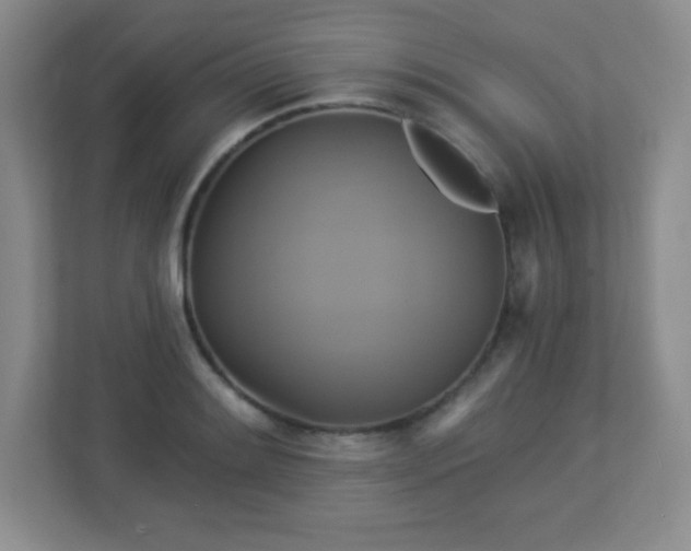 X0000113051084200909031327