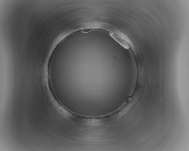 X0000113051088200909031327