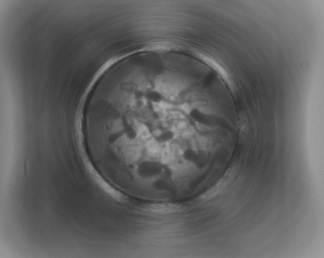 X0000113051091200909031327