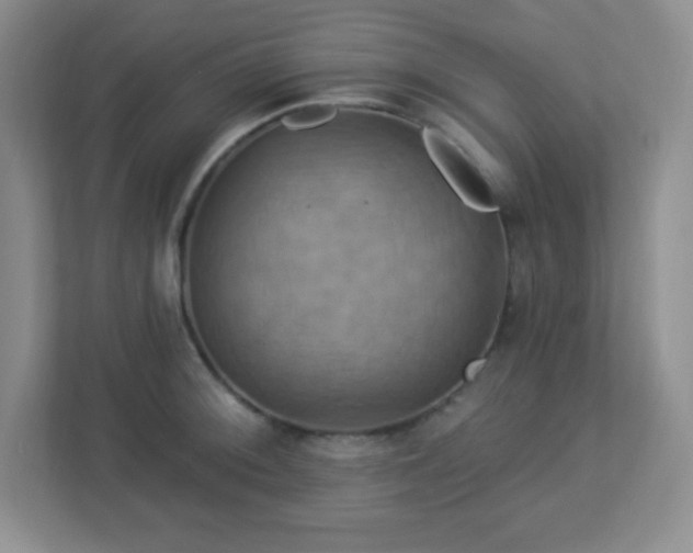 X0000113051092200909031327