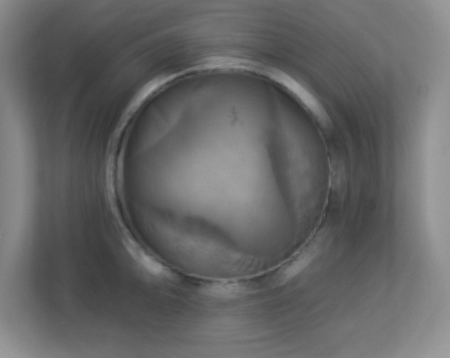 X0000113051094200909031327