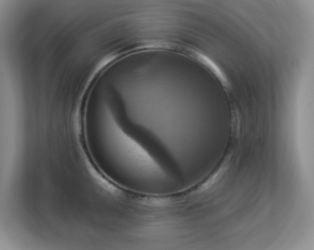 X0000113051095200909031327