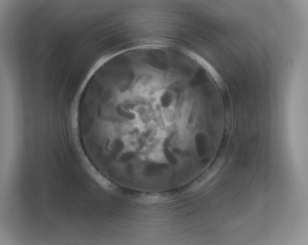 X0000113051099200909031327