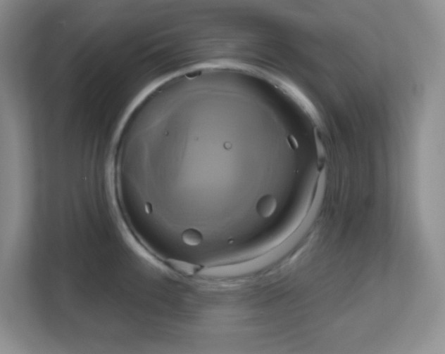 X0000113051100200909031327