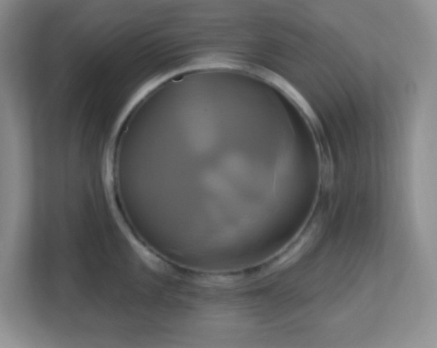 X0000113051101200909031327