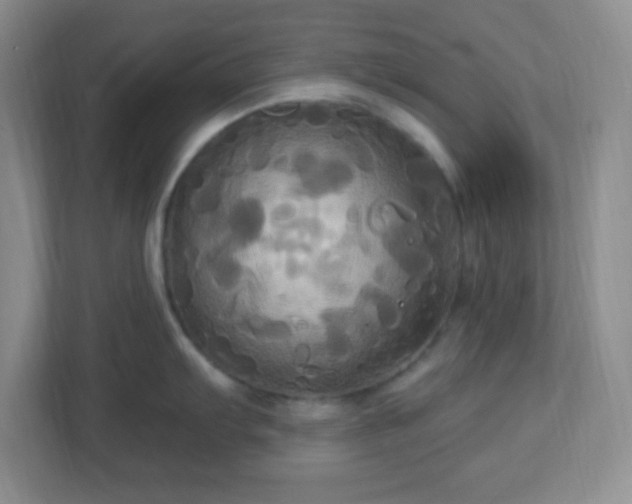 X0000113051103200909031327