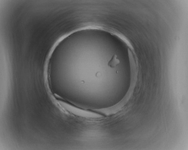 X0000113051104200909031327