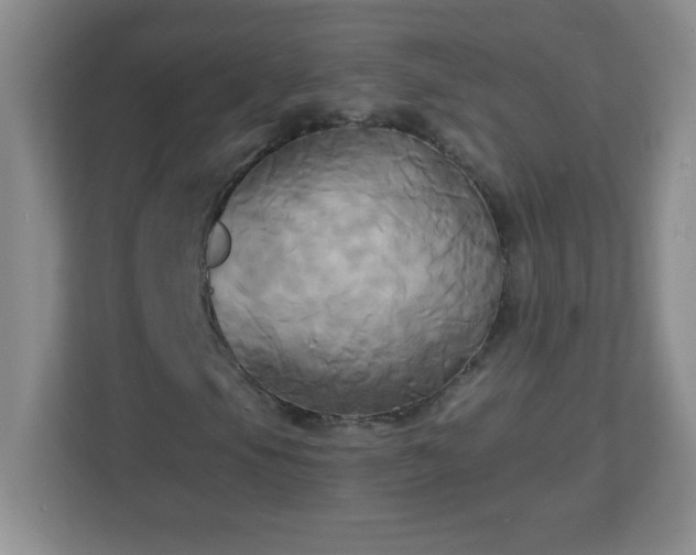 X0000113051105200909031326