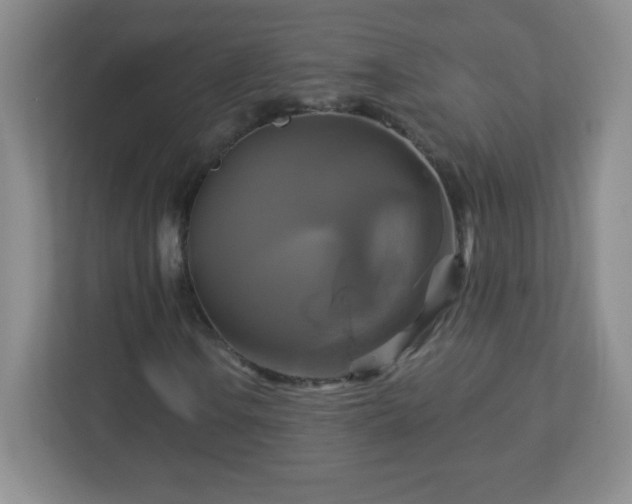 X0000113051106200909031326