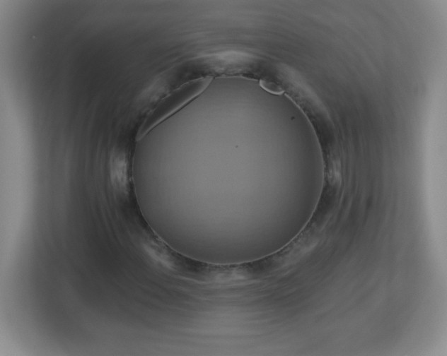 X0000113051108200909031326