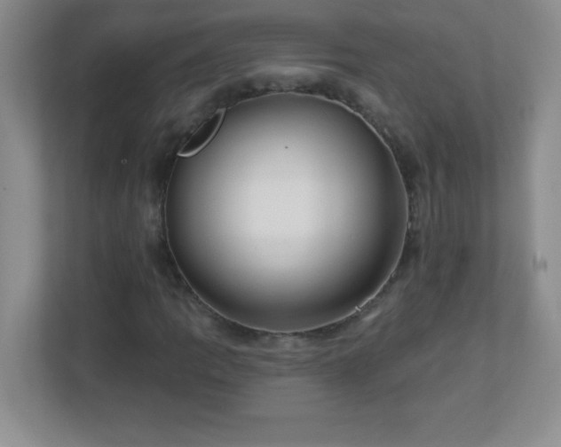 X0000113051109200909031326