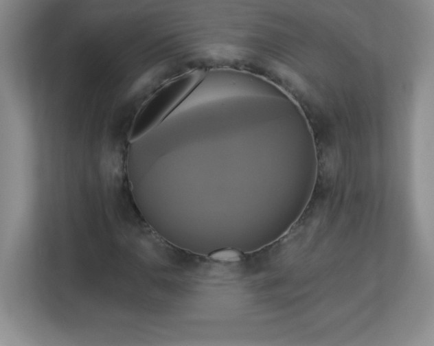 X0000113051110200909031326