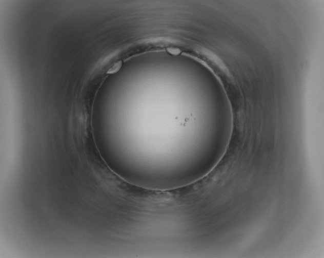 X0000113051111200909031326