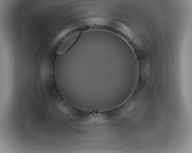 X0000113051112200909031326