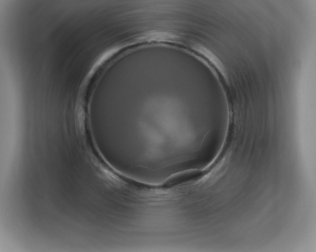 X0000113051115200909031326