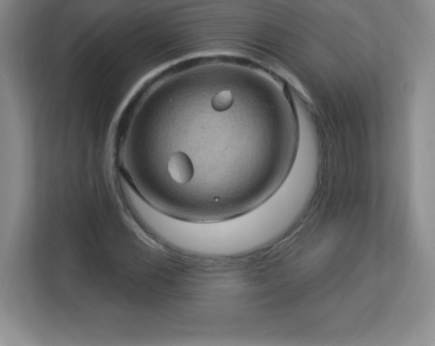 X0000113051116200909031326