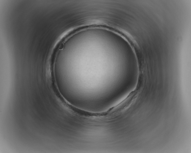 X0000113051118200909031326