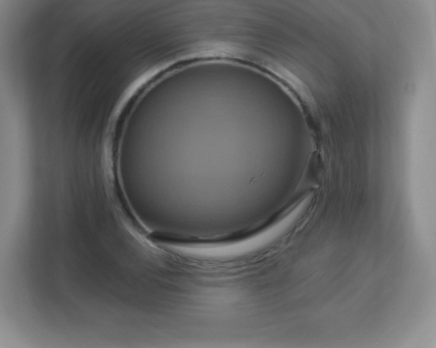 X0000113051120200909031326